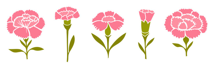 Collection of spring pink carnations illustration isolated on white background. Vector illustration