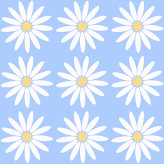 daisy's pattern, floral, flowers