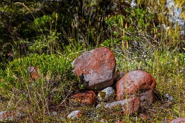 Red boulders near Highway 94 to Milford Sound in the South Island, New Zealand