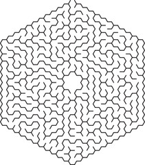 Complex Hexagonal Maze Pattern Geometric Design Puzzle Labyrinth