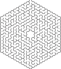 Complex Hexagonal Maze Puzzle Geometric Labyrinth Design Challenge
