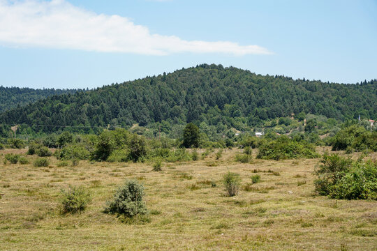 Karagol Plateau in Tarakli Town, Sakarya, Turkiye