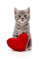 Kitten with toy heart.