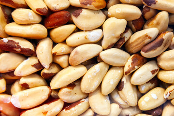 Brazil nut, traditional nut from northern Brazil