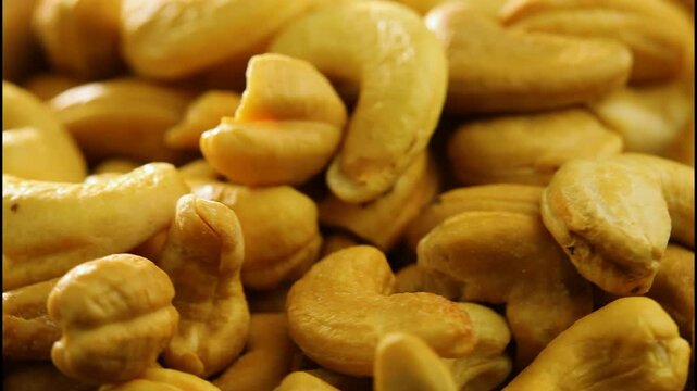 The cashew nut is the fruit of the cashew tree