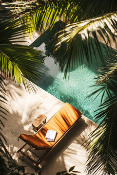 Tropical Poolside Relaxation with Sun Lounger and Palm Shadows