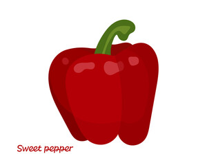 Red sweet bell pepper plant icon. Organic Paprika vegetable, vegetarian food. Vector illustration isolated on white background.