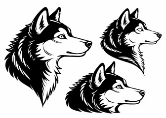 Naklejka premium Siberian Husky Head Portrait – Detailed Side View Vector Drawing