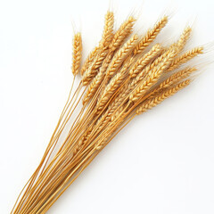 Fototapeta premium A close up shot of a bundle of dried wheat stalks arranged on a plain white surface in a studio setting