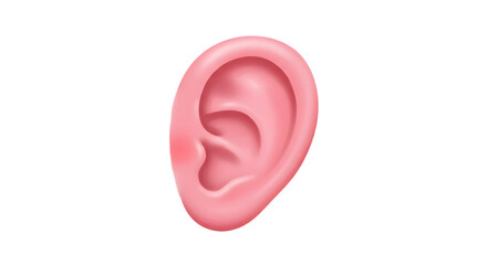 Isolated Pink Human Ear Illustration on White Background for Anatomy