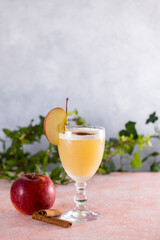 Refreshing apple cider cocktail garnished with apple slice and cinnamon sticks