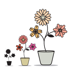 Potted flowers in a colorful spring garden illustration