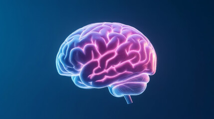 Neural pathways in a digitally rendered human brain for scientific visualization and education