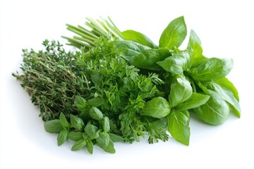 A beautiful assortment of fresh green herbs against a white background