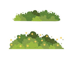 Obraz premium Tropical foliage plant bush (Monstera, palm leaves, and Bird's nest fern) floral arrangement indoors garden nature backdrop isolated on white with clipping path.