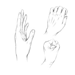 Pencil drawing woman hands.  Drawing lessons. 