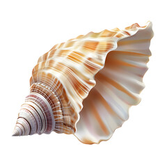 Obraz premium Stunning Seashell Detailed 3D Render of a Spiral Shell with Warm Tones