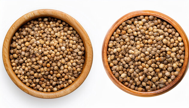 top view of coriander seeds in a wooden bowl on isolated background organic whole coriander spice dried seeds for cooking and seasoning aromatic herb seed macro photography