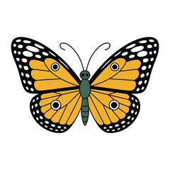 Beautiful Orange Butterfly with Detailed Wings and Eyes for Kids