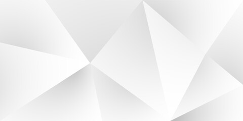 Abstract white and gray triangle vector background. texture white pattern	