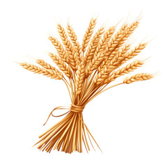Fototapeta premium Golden Wheat Sheaf Harvest, Agriculture, Nature Illustration Design