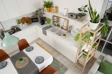 Interior of kitchen with green plants, dining table and counters