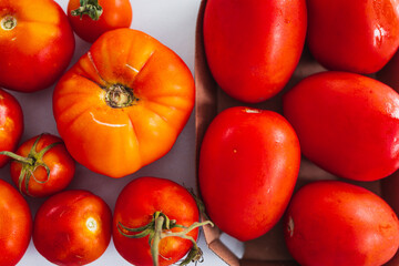 imperfect looking homegrown tomatos vs store bought ones in box