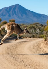 Kangaroo leaping across a dirt road with a mountain backdrop