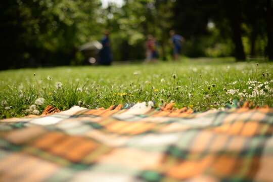 Close-up of a checked Picnic blanket on the grass in a park in summer