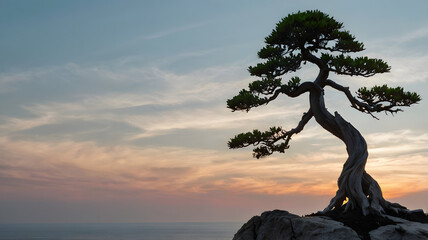 A single, twisted bonsai tree on a rocky cliff, silhouetted against a soft pastel sky