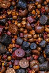 Carpfishing session at the Lake.Background of boilies and trout pellets, fishing baits for carp.Round boilies used as bait for carp fishing. Bait for fishing in the form of balls