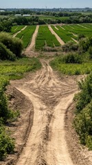 Obraz premium Water conservation drought preservation concept. A winding dirt path leads through vibrant green fields, showcasing a serene agricultural landscape under a clear blue sky.