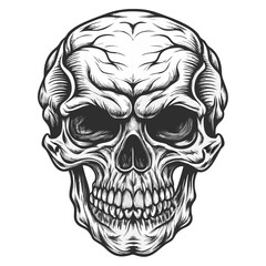 Fototapeta premium Grim Reaper Skull: A detailed illustration of a skull with piercing eyes and a menacing grin, rendered in a vintage style.