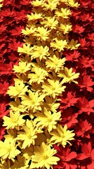 Fototapeta premium Vibrant Red and Yellow Flowers Arranged in a Mesmerizing Pattern