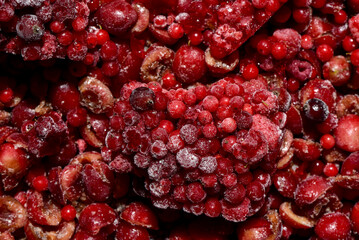 Bio Gartenernte, Beerenobst, Kirschenhälften, tiefgefroren, nah