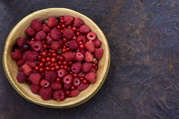 Frische Bio Garten Beeren (Himbeere, Ribisel, Stachelbeere)