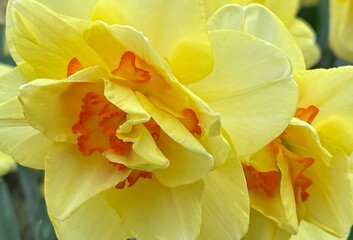 IMG_0745.JPG