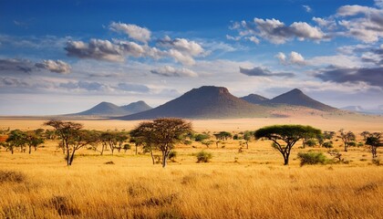 Fototapeta premium african savannah landscape with vast and colorful plains