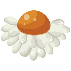 Color icon of an open white daisy bud with a yellow center, side view, for various designs and backgrounds with flowers