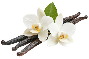 Bunch of vanilla flowers with a few black beans on top, isolated