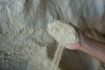 Closeup of handful of soy flour in male hands. Concept of organic supplement in production of compound feed for livestock animals
