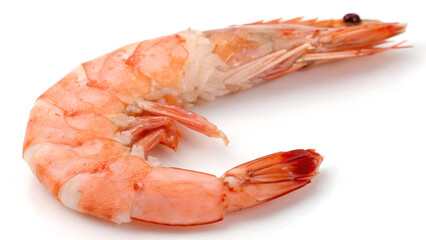 Prepared red shrimp, a cooked seafood delicacy isolated on white