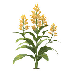 3D Flowering Ginger Plant with Yellow Flower Isolated on Transparent Background