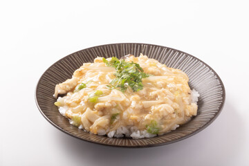 鶏ひき肉と白菜のあんかけご飯