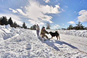 Man with light skin and average age sits on sled in snow holding leash of black and brown dog while woman with light skin and average age stands behind him watching road covered in snow