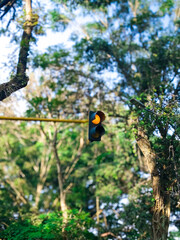 Traffic Lights on the Road - Caution Signals for Drivers