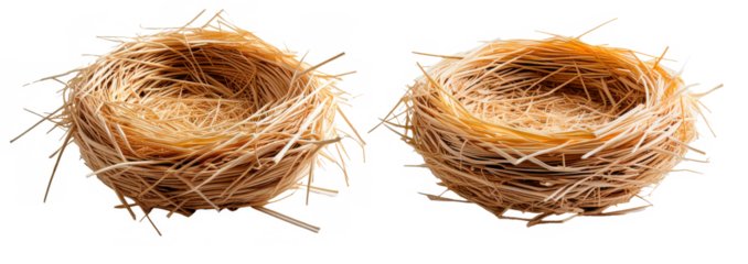 Set de nidos para gallina, aislados sobre fondo transparente. 
