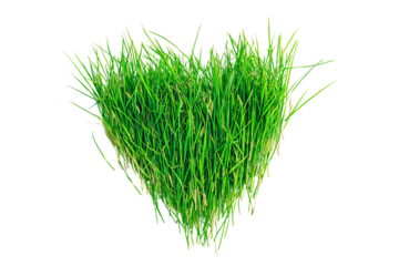 A vibrant green heart made of lush grass symbolizing love for nature.