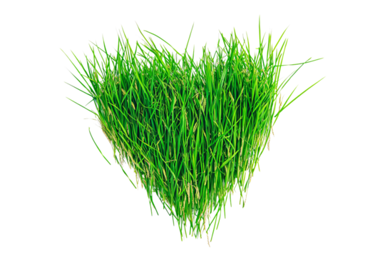 A vibrant green heart made of lush grass symbolizing love for nature.