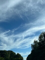 Fototapeta premium clouds over the forest